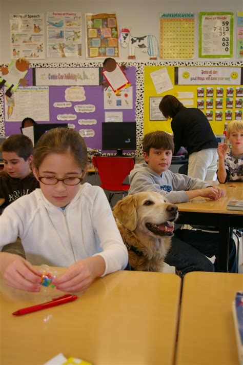 10 Common Problems And Benefits With Classroom Pets