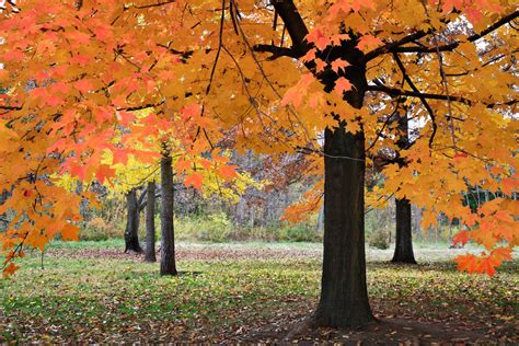 11 Best Places To See Fall Foliage In Ohio Linda On The Run