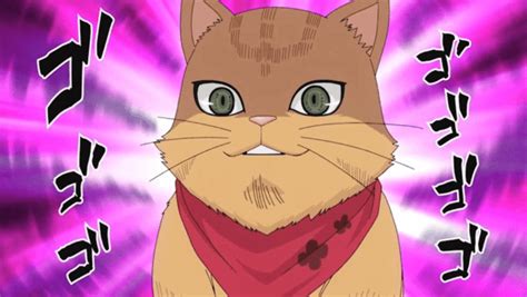 Top 10 Anime Cats What Are The Best Cats From Anime