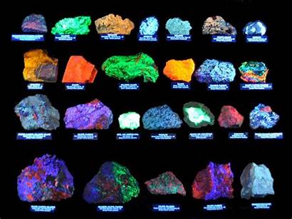 Fluorescent Mineral Display Minerals Rocks Gems Gemstones