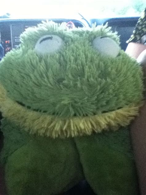 Shop from the world's largest selection and best deals for pillow pets. Pin on Hahahahahahahaha