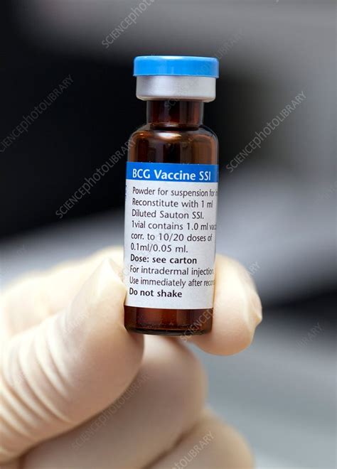 However, there is enough such quantity that the body could develop immunity against a dangerous disease. BCG vaccine - Stock Image - C014/1848 - Science Photo Library