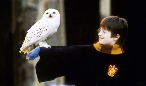 Second years were typically 12 to 13 years of age. Harry Potter movie screening with live orchestra at Royal ...