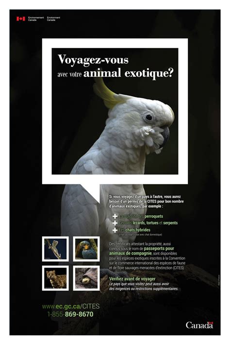 Voyager Avec Un Animal Exotique Affiche Canadaca