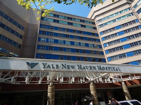 Yale New Haven Hospital Telephone Number Alayna Solis