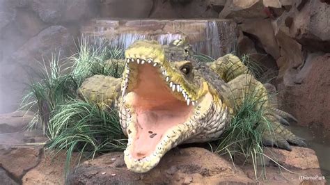 New Animatronic Alligator At Rainforest Cafe At Downtown Disney Walt