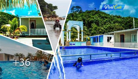 Pemilik bisnis mesti mengetahui secara akurat seberapa besar omset yang dia dapatkan secara berkala. Chalet Kolam Renang Konsep Garden Kat Kawasan Kampung Di ...