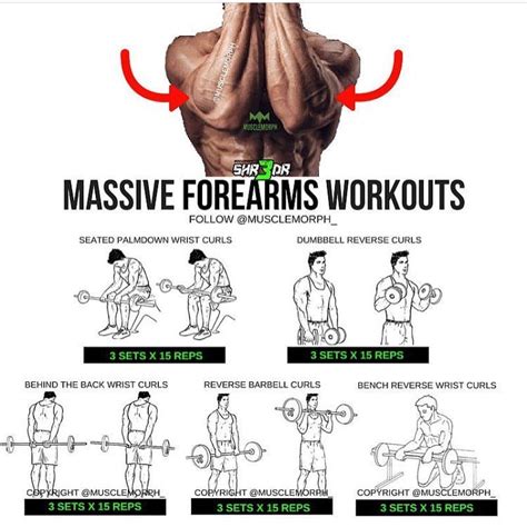 Want Massive Forearms Try This Workout 👆🏻save It So You Can Use It At