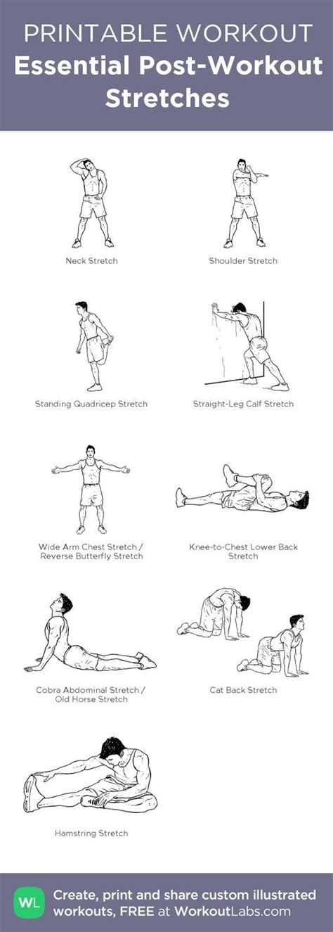 Essential Post Workout Stretches My Custom Workout Created At