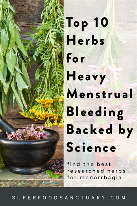 10 Best Researched Herbs For Heavy Menstrual Bleeding Superfood Sanctuary
