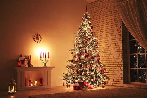 24 Types Of Christmas Trees By Species And Styles Home Stratosphere