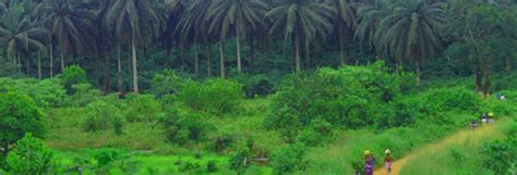Sierra Leone Report By Green Scenery On Land