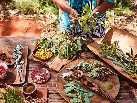 uluru s native bounty exploring indigenous cuisine luxury travel magazine