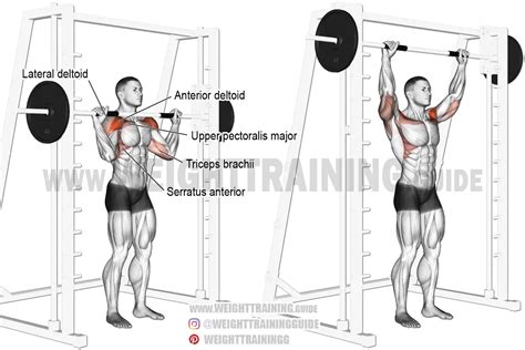 Smith Machine Standing Overhead Press Exercise Instructions And Video
