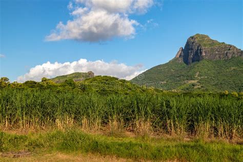 Mauritius Island In The Indian Ocean Africa Stock Image Image Of