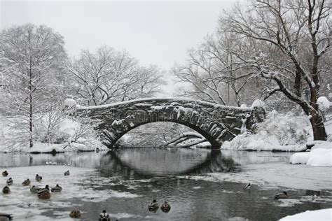 Ponte Coberto De Neve No Central Park Em New York Imagem De Stock