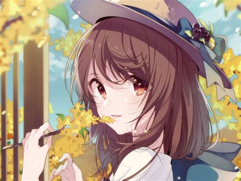 Desktop Wallpaper Autumn Tree Branch Anime Girl Cute Hd Image