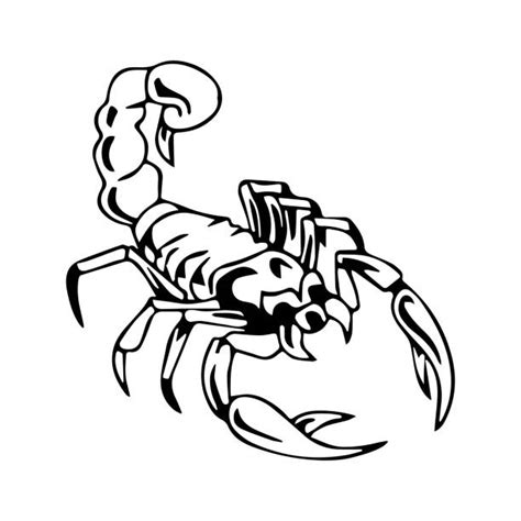 Top 60 Scorpion Clip Art Vector Graphics And Illustrations Istock