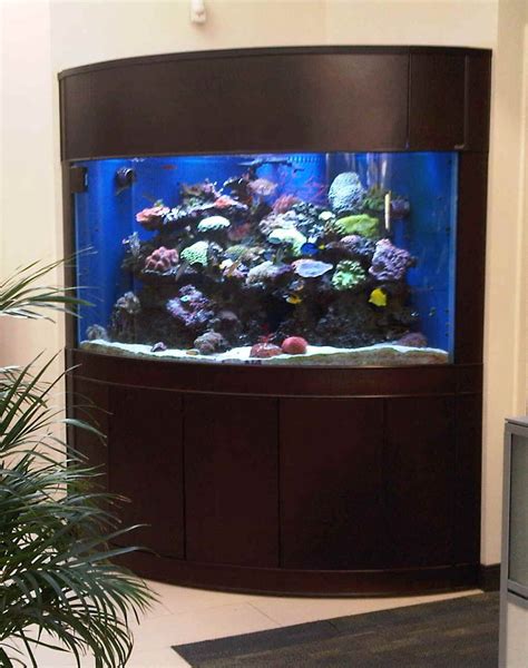 Cheap Corner Fish Tanks For Sale Goimages Smidgen