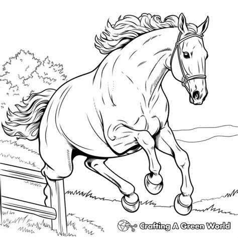 Horse Jumping Coloring Pages Free And Printable