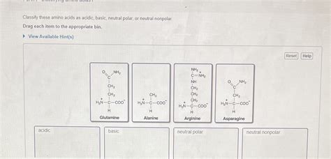 [solved] Classify These Amino Acids As Acidic Basic Neutral Polar Or Course Hero
