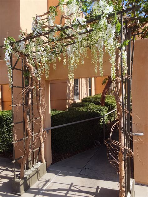 To keep wisteria under control, prune vigorously. Tree Rental for Weddings Events, Artificial Plants, Faux Trees