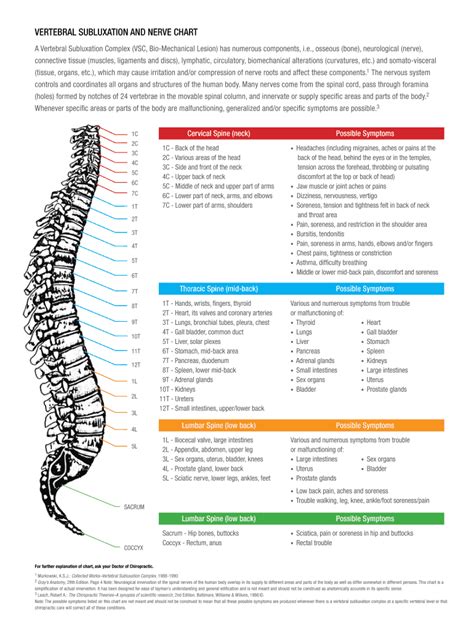 fillable online vertebral subluxation and nerve chart fax email print pdffiller