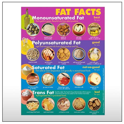 Fat Facts Handouts Creative Health Products
