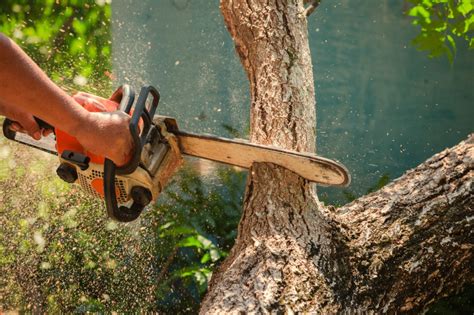 We come up with an easy method on how to measure a chainsaw bar. What is the Best Chainsaw Bar Length?