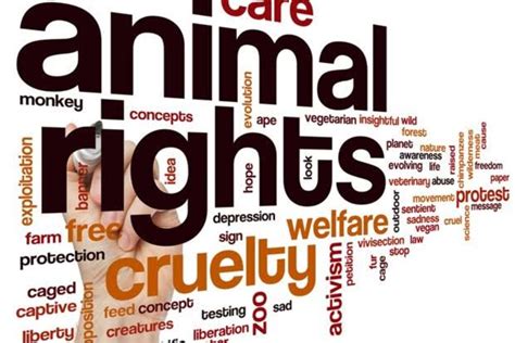 Animal Rights Protection Group Condemn Killing of Over 3000 Chicks By