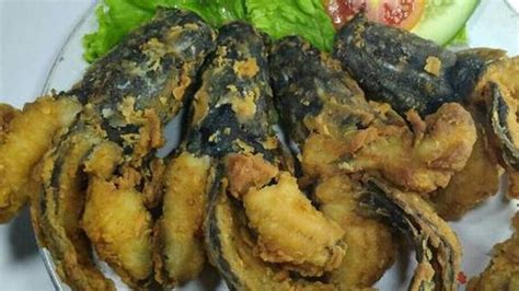 Membuat telor dadar goreng tepung renyah krispi resep sangat mudah dibuat, hanya dengan telor,tepung bumbu,dan garam. Cara Membuat Ikan Goreng Tepung Renyah