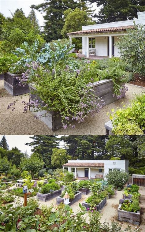Identify how much sun your garden receives, which will determine the garden bed layout and plant choice. Vegetable Garden Layout: 7 Best Design Secrets! in 2020 ...