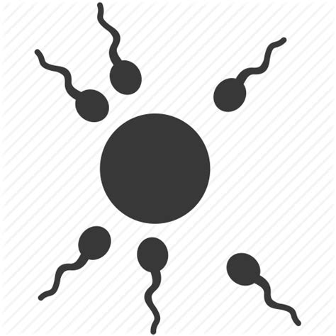 Sperm Vector At Getdrawings Free Download