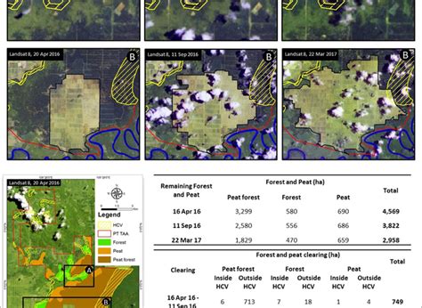 Malaysia và brunei tại phần phía bắc, và indonesia ở phía nam. Palm oil giant FGV will 'endeavor to rehabilitate' peatlands it trashed in Borneo