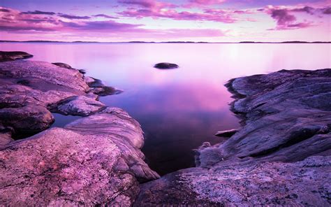 Pink Scenery Wallpapers Top Free Pink Scenery Backgrounds