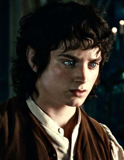Frodo Baggins The Hobbit Frodo Baggins Gandalf The Grey