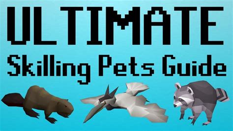 Osrs Ultimate Skilling Pets Guide With Comparisons Youtube