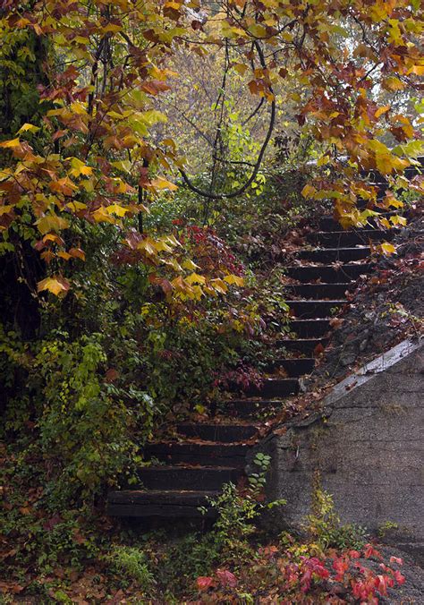 Autumn Stairs Photograph By Brandon Vandalsem Fine Art America