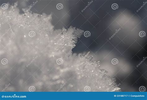 Snow Crystals Stock Image Image Of Coldness Party Carol 23188717