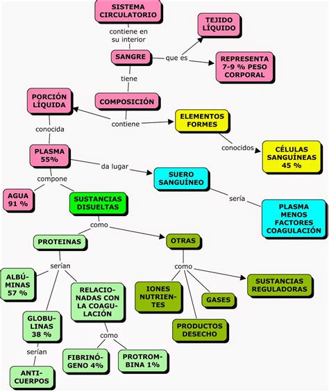 Cuadro Sinoptico De La Sangre Esquemas Y Mapas Conceptuales De The