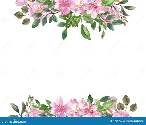 Watercolor Spring Floral Border With Blush Pink Flowers And Green