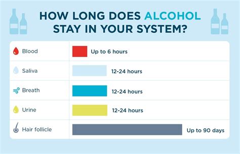 How Long Does Alcohol Stay In Your System Priory