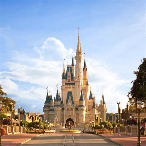 Walt Disney World Resort Homecare24