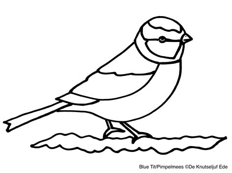 Vogelhuisje timmeren voor koolmeesje en pimpelmees vogelhuisje