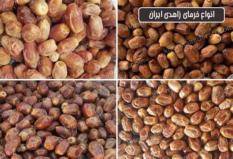 انواع خرمای خشک زاهدی تازه ایران قیمت عمده