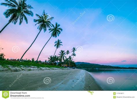 Beautiful Tropical Beach And Sea With Coconut Palm Tree At Sunrise Time