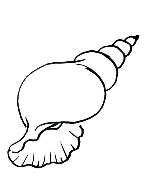 Seashell Free Coloring Page. Shellfish are aquatic animals including