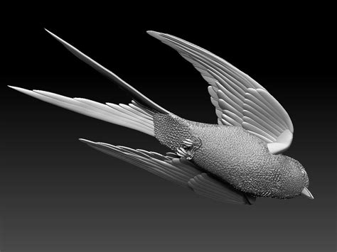 Sparrow 3d Model By Explorer