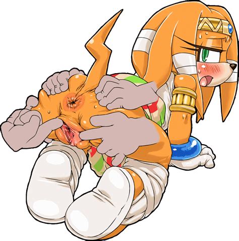 Nezunezu Tikal The Echidna Sonic Series 1girl Anus Armlet Ass