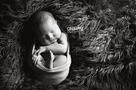 Brookline Newborn Photography 17 Day Old Baby Girl A